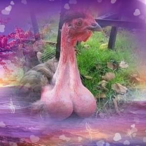 Meet your Posher, Stanley